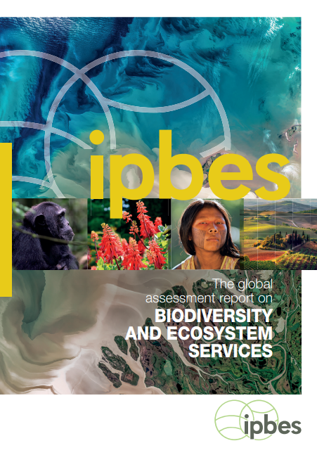 Screenshot 2025-11-27 150750