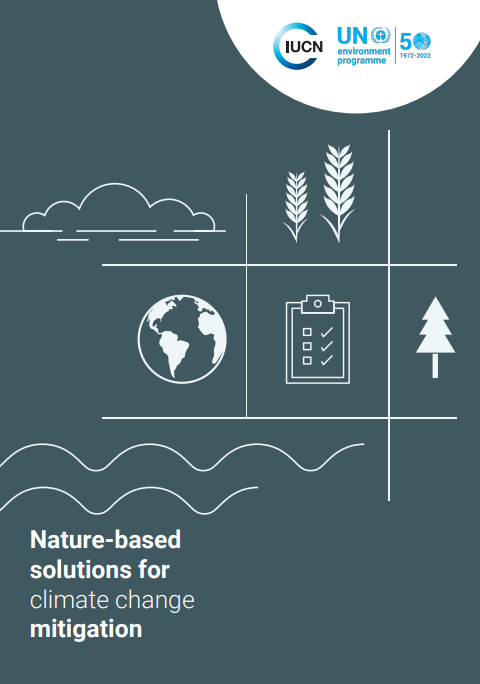 Screenshot 2025-11-27 151409