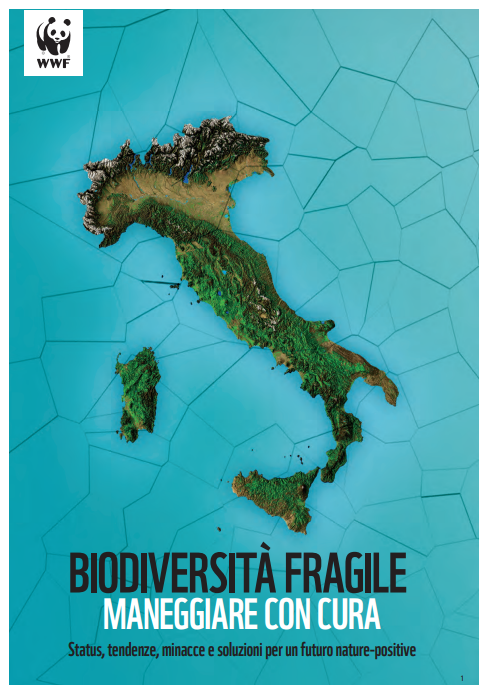 Screenshot 2025-11-27 152146