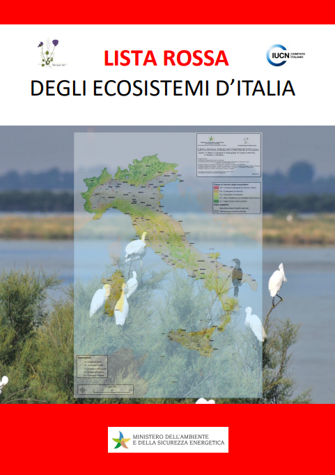 Screenshot 2025-11-27 155824