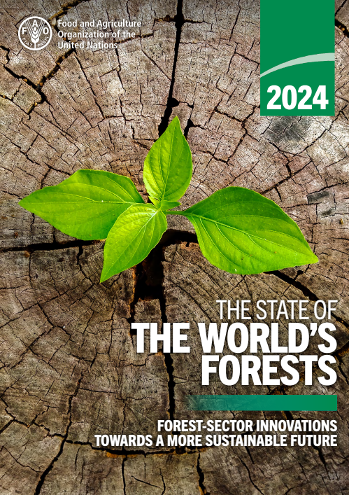 Screenshot 2025-11-28 173749