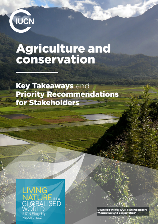 Screenshot 2025-11-28 174644