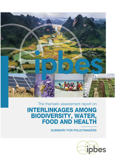 Screenshot 2025-11-28 175324