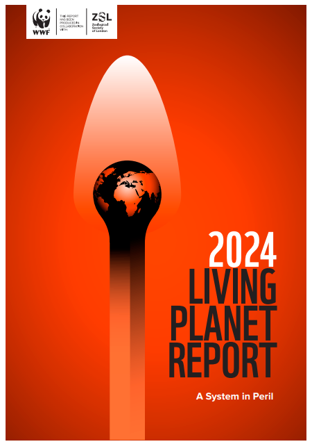 Screenshot 2025-11-29 172048