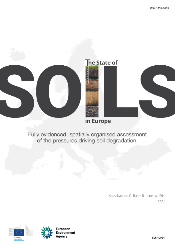 Screenshot 2025-11-29 172248