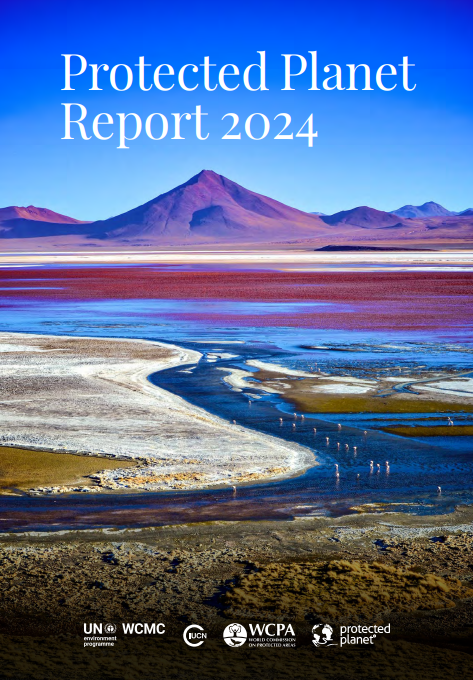 Screenshot 2025-11-29 172515